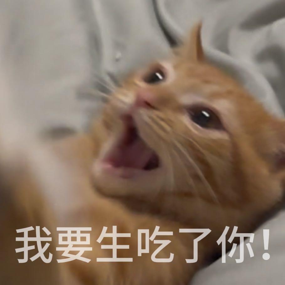 干饭娃的麻麻