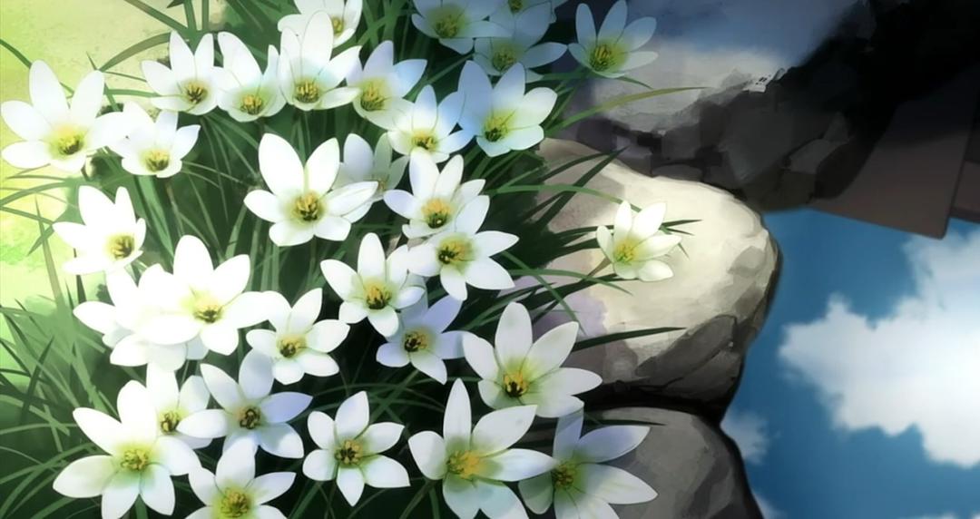 认真生活的做法