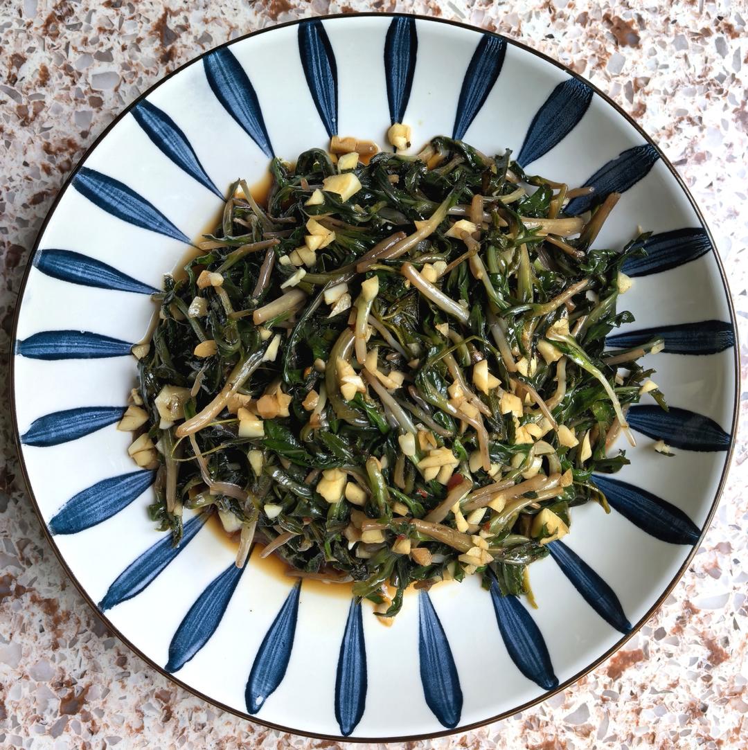 【降血压】凉拌野菜-苦苣