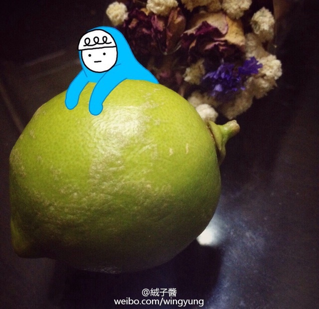 小黄鸡的懒人料理