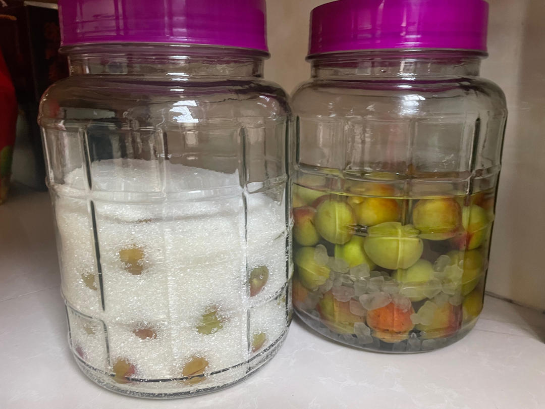 零失败【青梅酒 & 梅子露】梅子的沉淀岁月