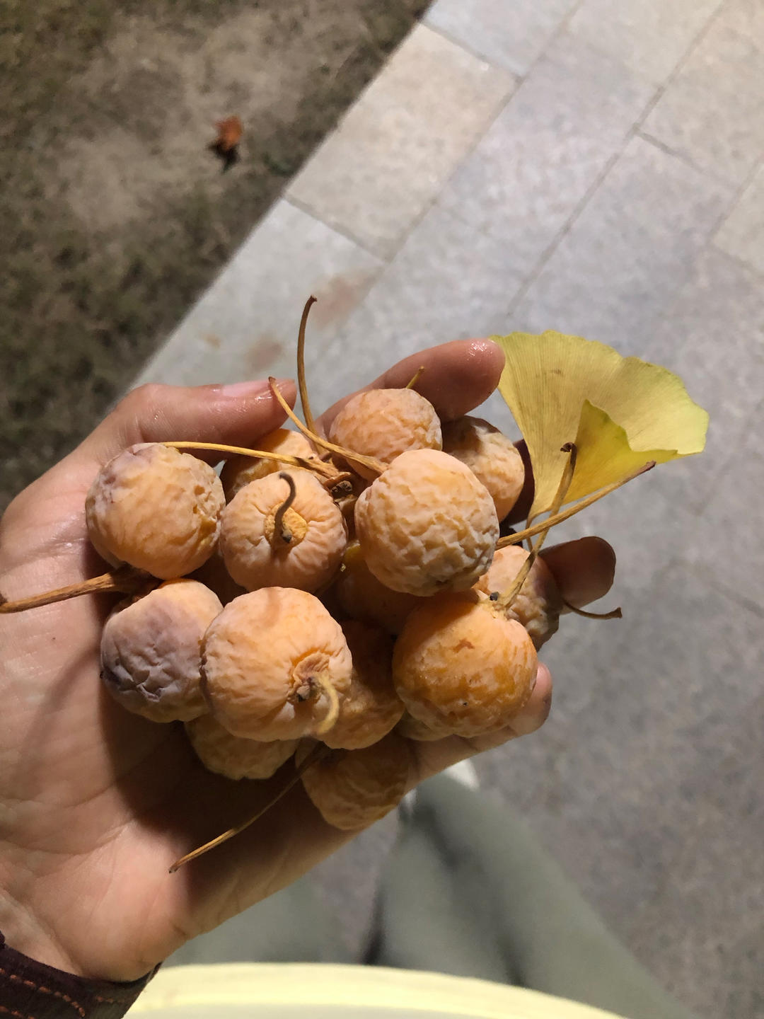 白果甜汤