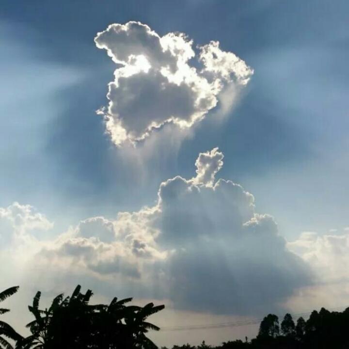 Alice的食尚生活