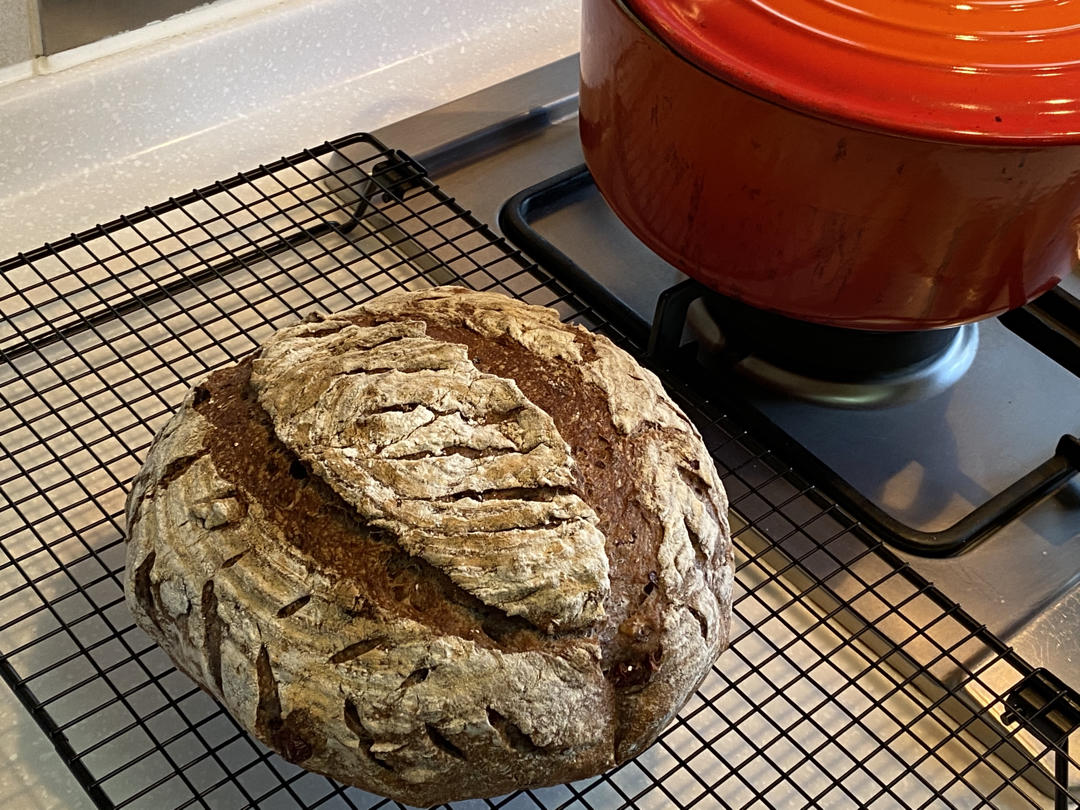 天然酵种乡村欧包/鲁邦种