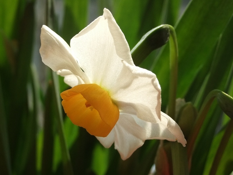 tina要坚强