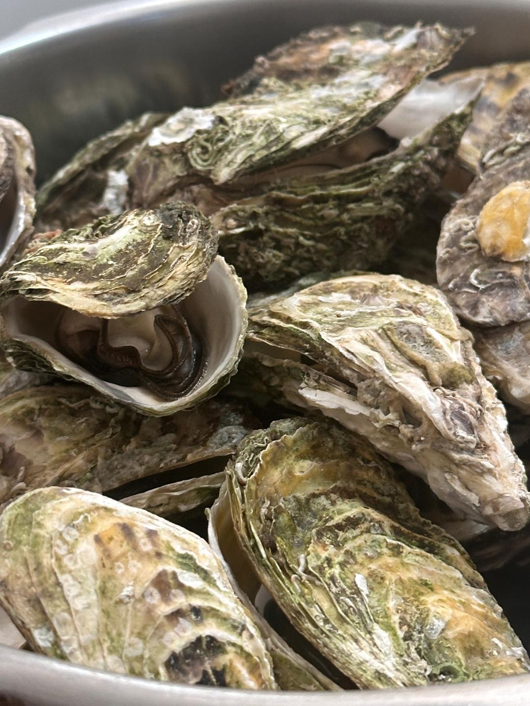 生蚝最鲜的吃法！高压锅只要十分钟搞定😋