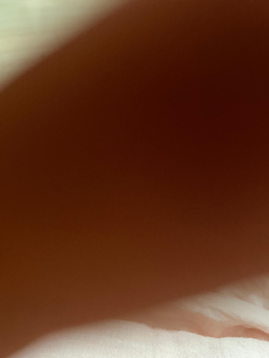 简单零失败的红烧肉