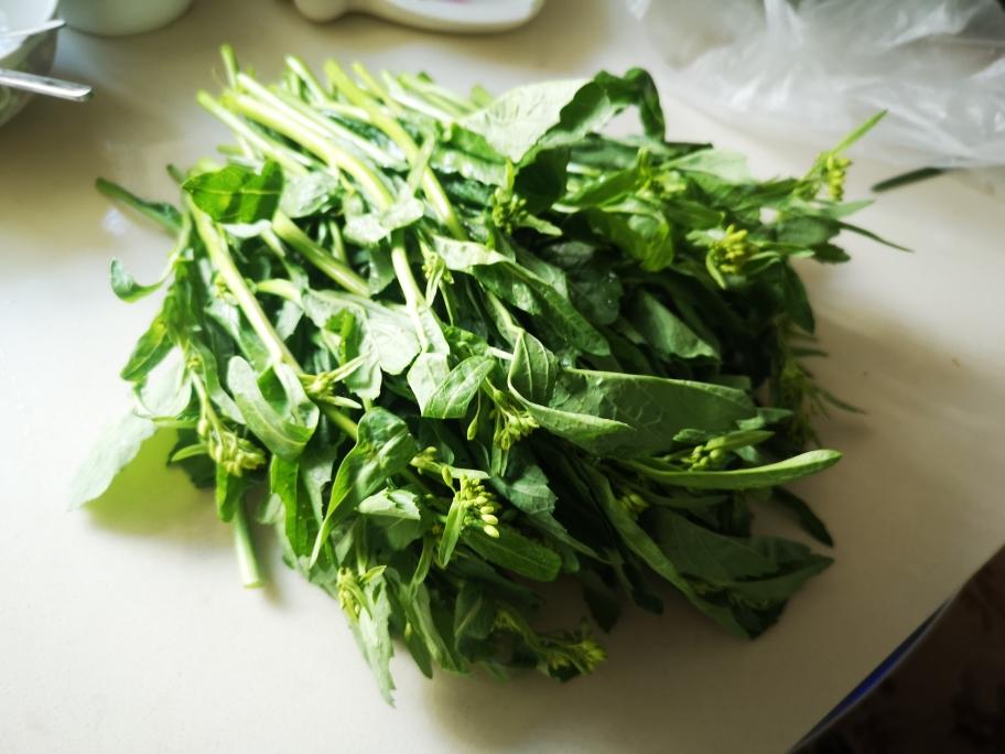 云南春天的花———冲菜的做法