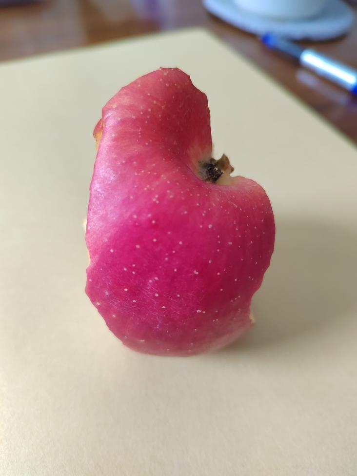 12月早餐马拉松