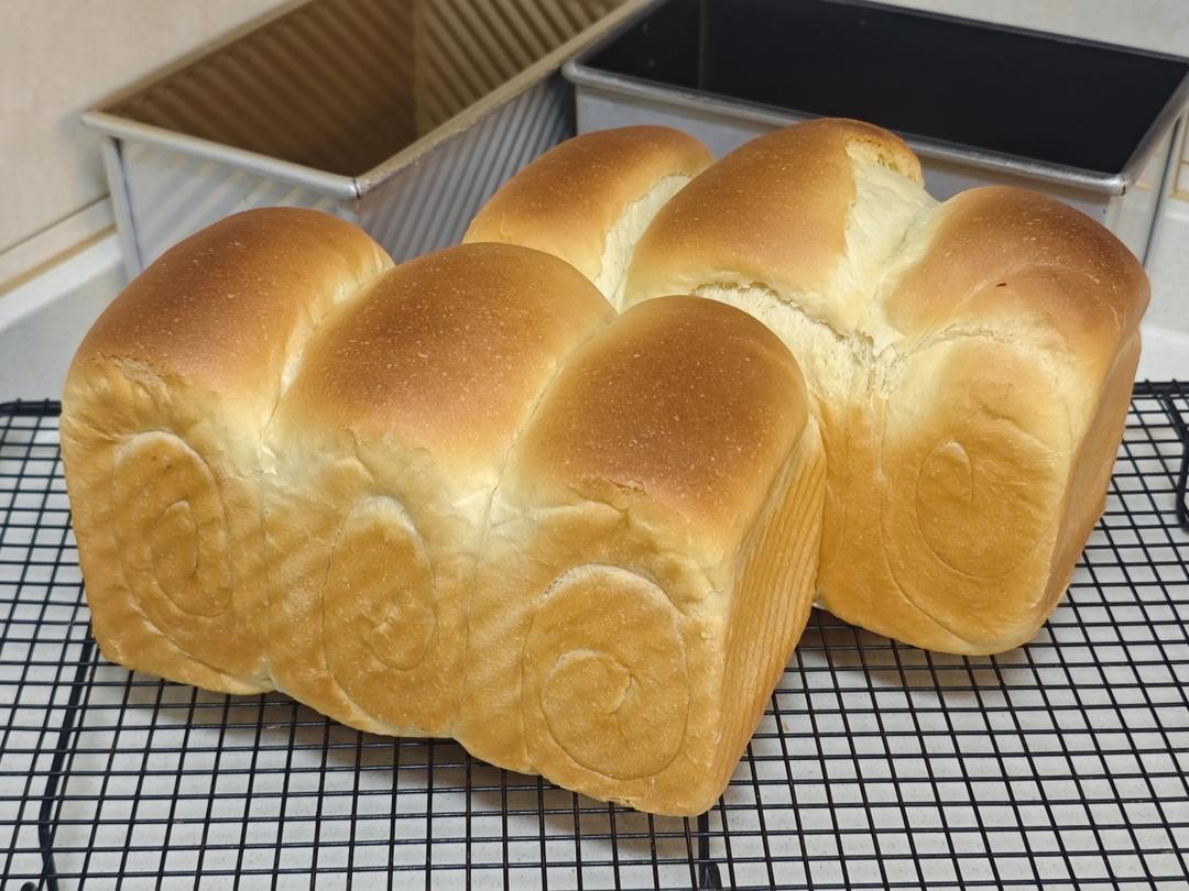 保姆级教程🥛鲜奶提子吐司🍞牛奶液种法