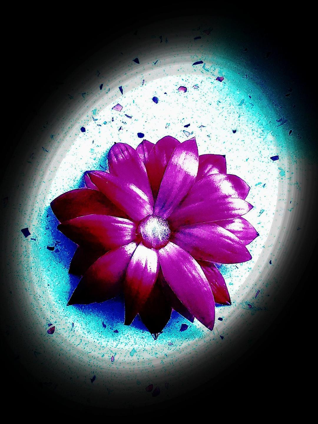 花开时节要到来