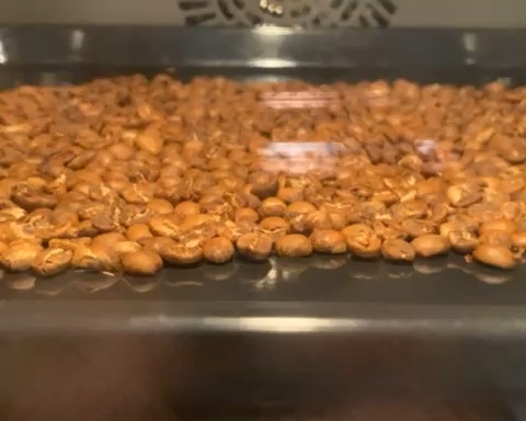 咖啡豆烘焙（烤箱版）的做法