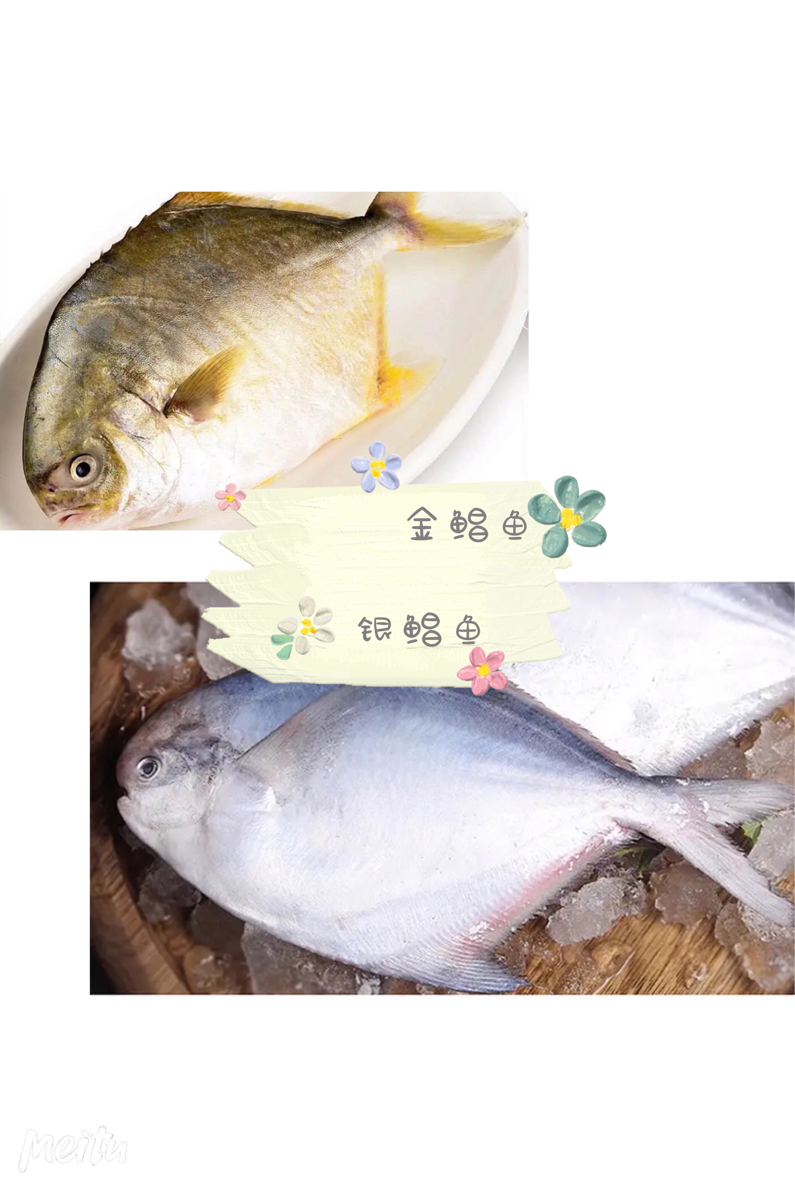 清蒸鲳鳊鱼的做法 步骤1