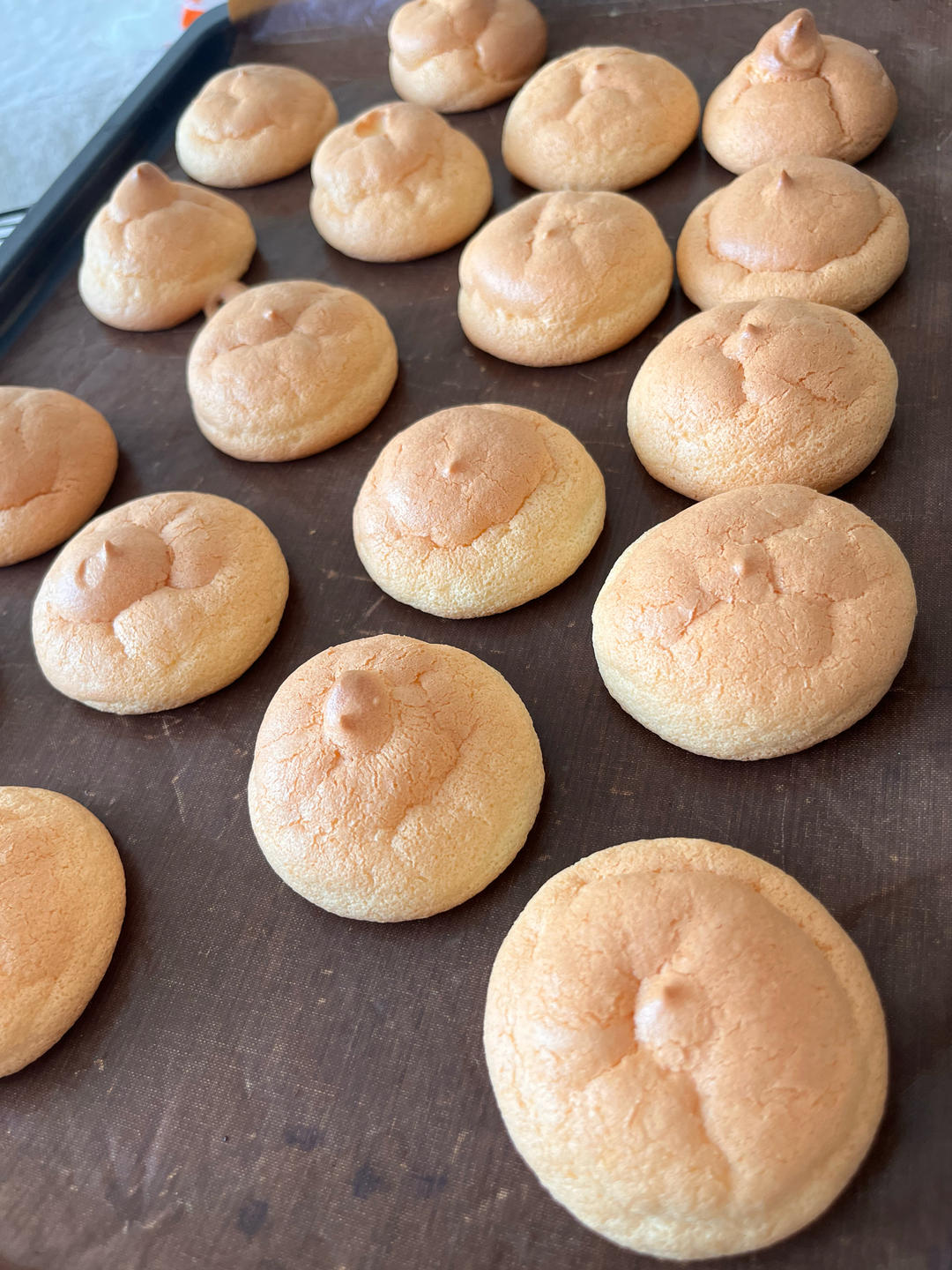 胖嘟嘟圆滚滚咬一口可以回弹的肉松小贝