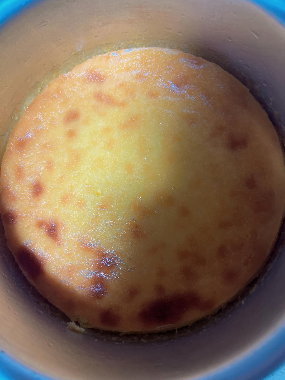 酸奶乳酪蛋糕