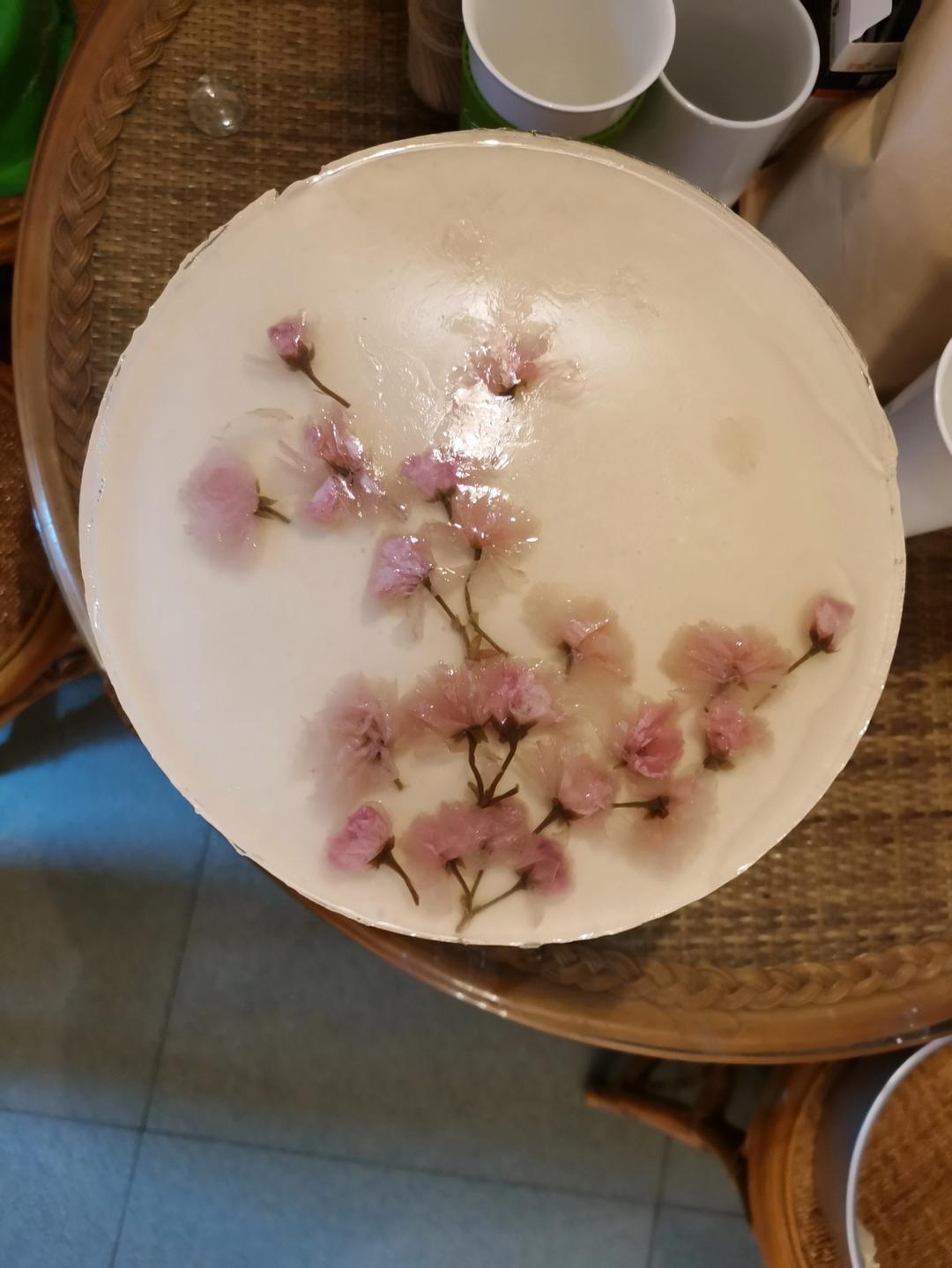 【樱花镜面蛋糕×樱花泡芙】