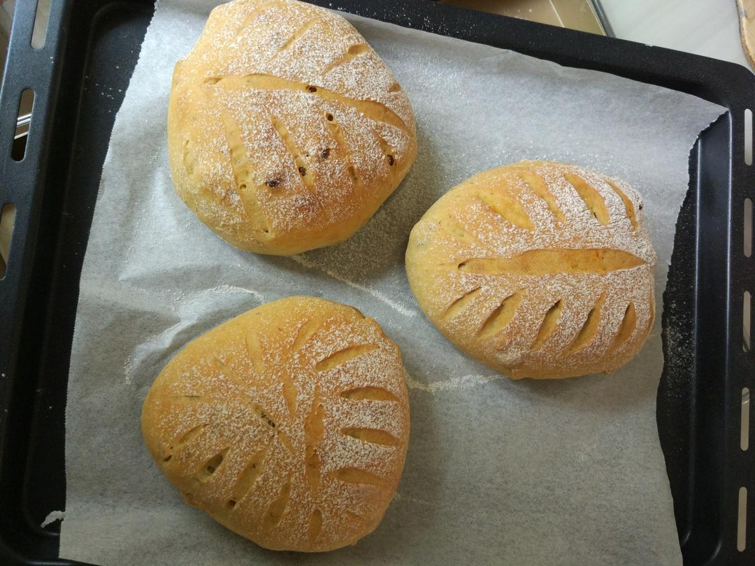 天然酵种无油蜂蜜欧包~免揉