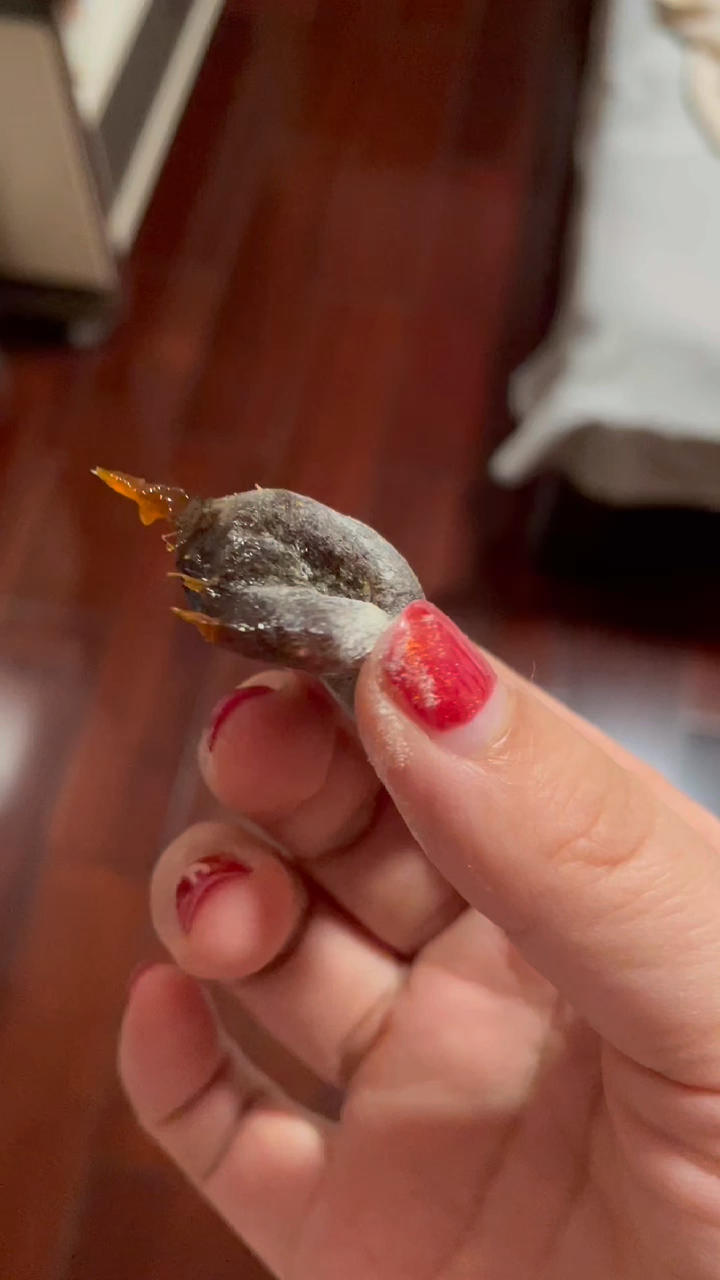 感冒还只会喝热水？简单三步教你做颗姜糖，保准你从嘴巴暖到胃