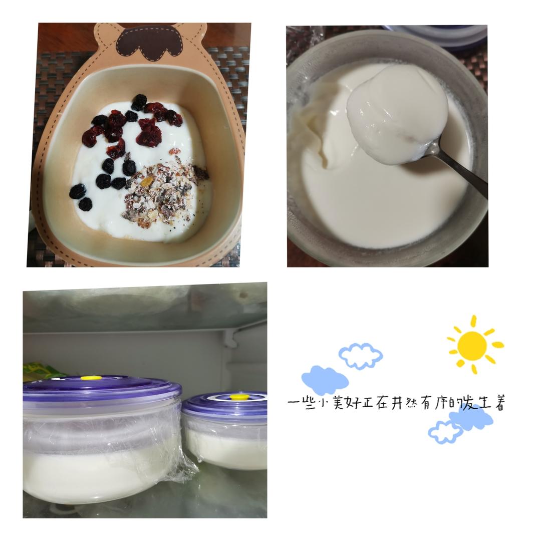 自制酸奶，没有酸奶机，也没有乳酸菌粉，也做成了老酸奶……不过家里得有个带发酵功能的烤箱才行……