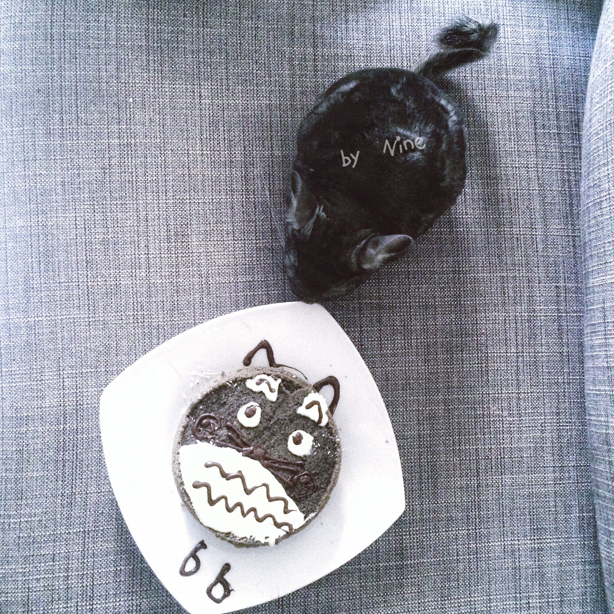 Totoro龙猫 黑芝麻戚风 （视频菜谱）