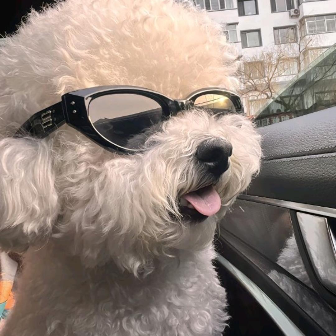 小文今天吃什么