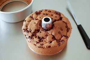 摩卡咖啡戚风蛋糕——小熊DKX-B30Q1电烤箱的做法 步骤9