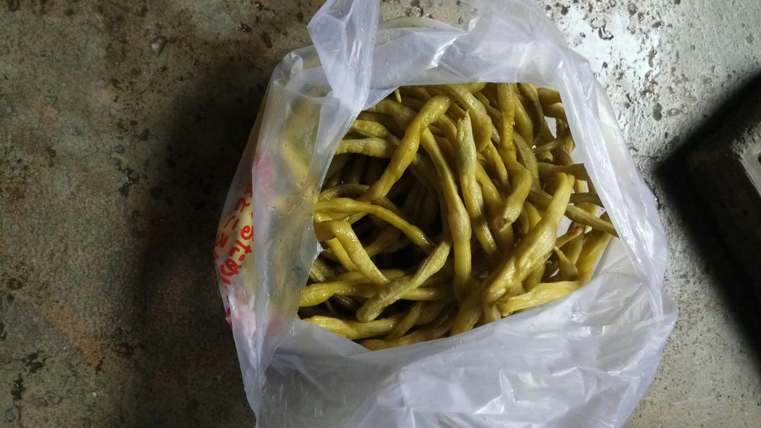自制酸豆角