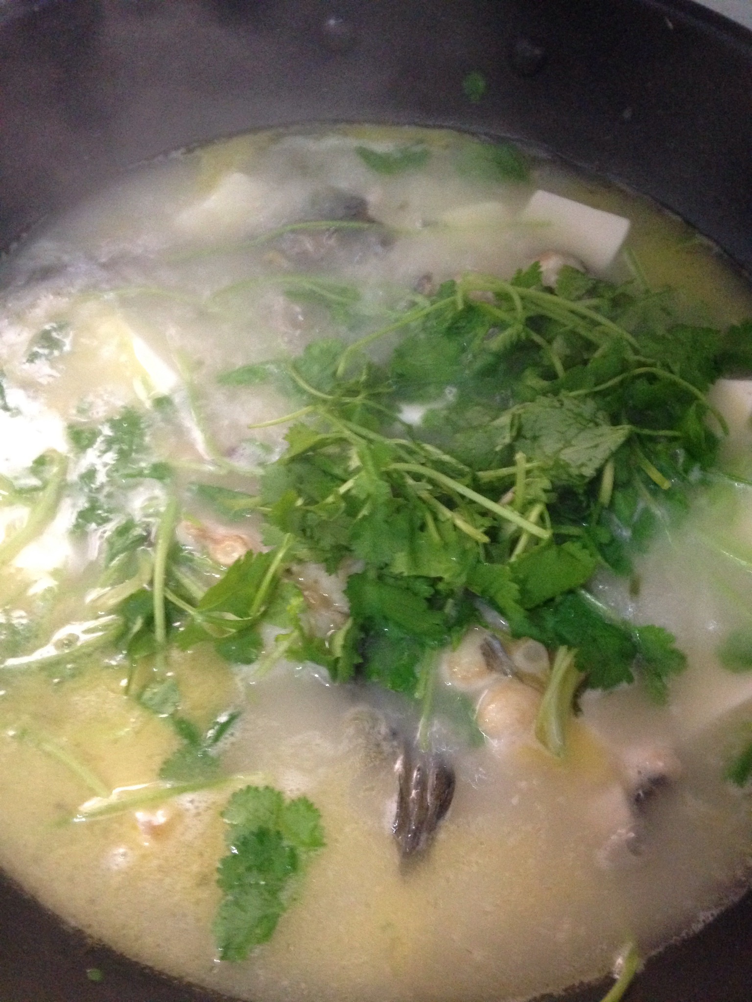 花鲢鱼豆腐汤的做法 步骤4