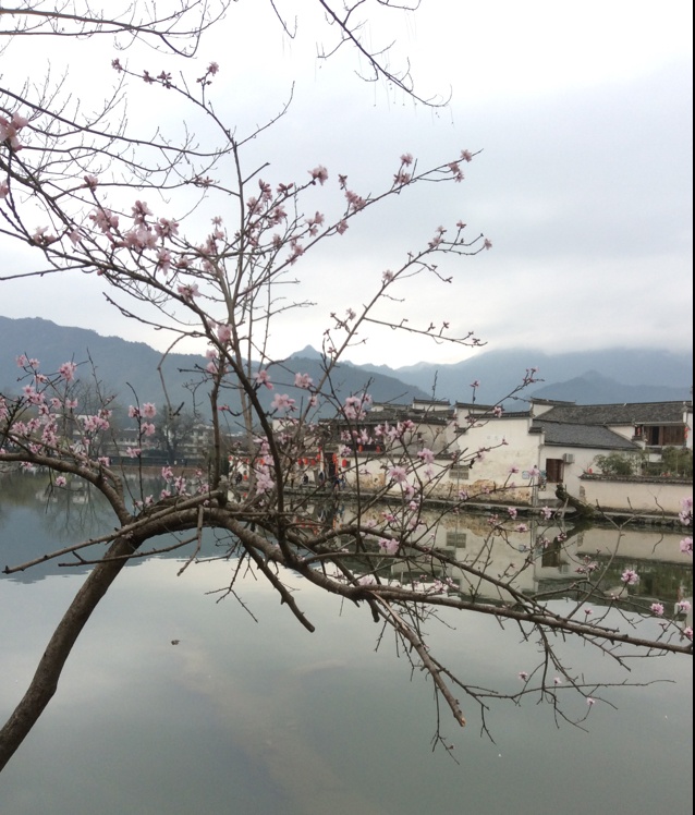 小驴子妮妮