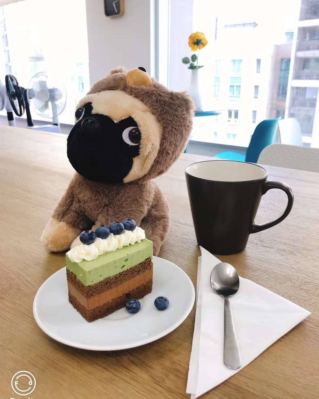 巧克力抹茶慕斯蛋糕