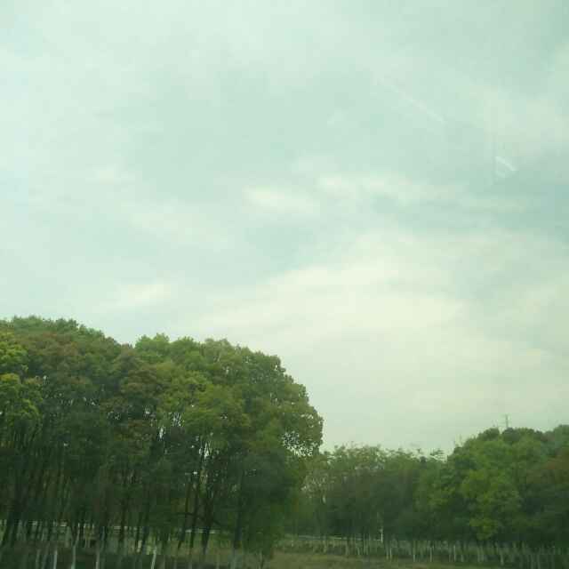 平常心就是我