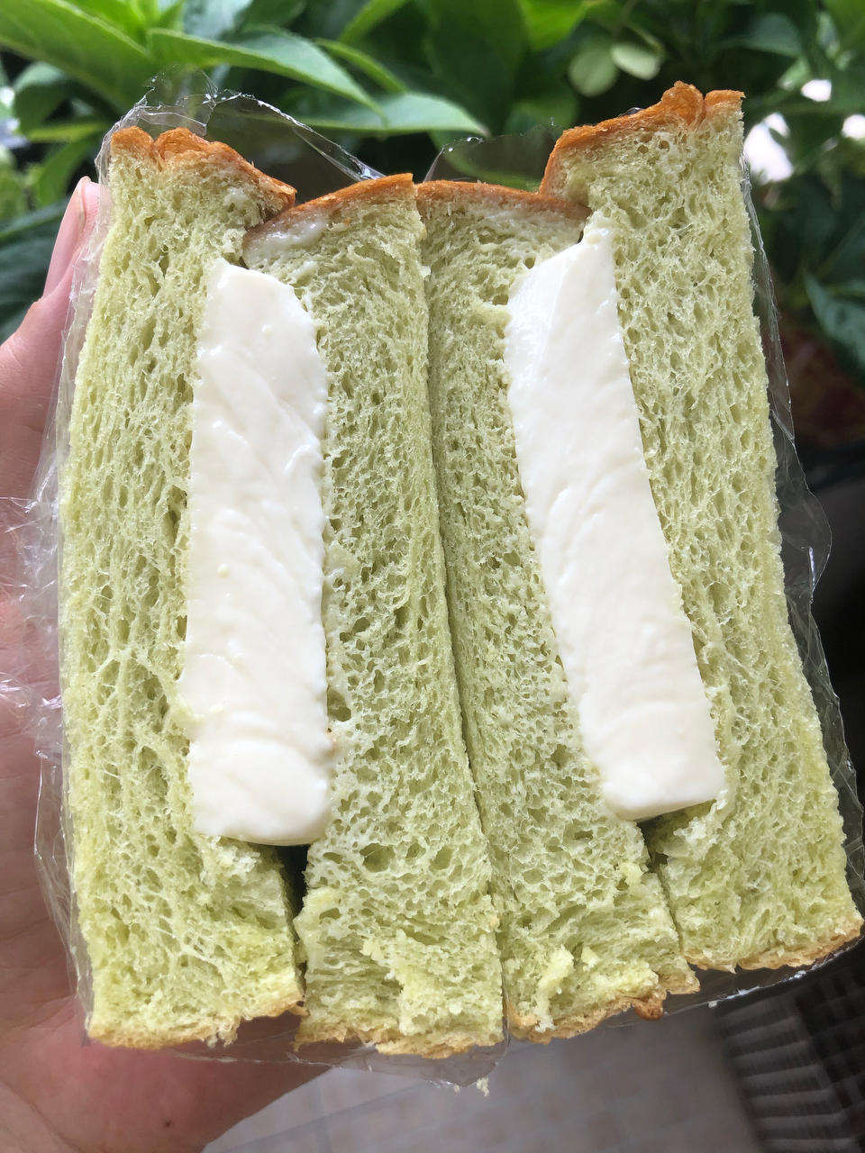 椰奶冻斑斓吐司！