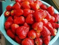 草莓菠萝双味果酱的做法 步骤4