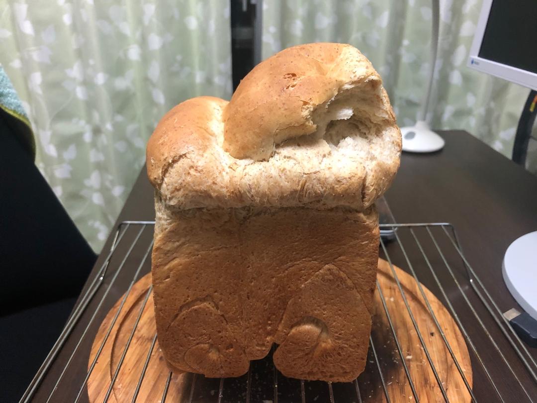 全麦波兰酵头吐司