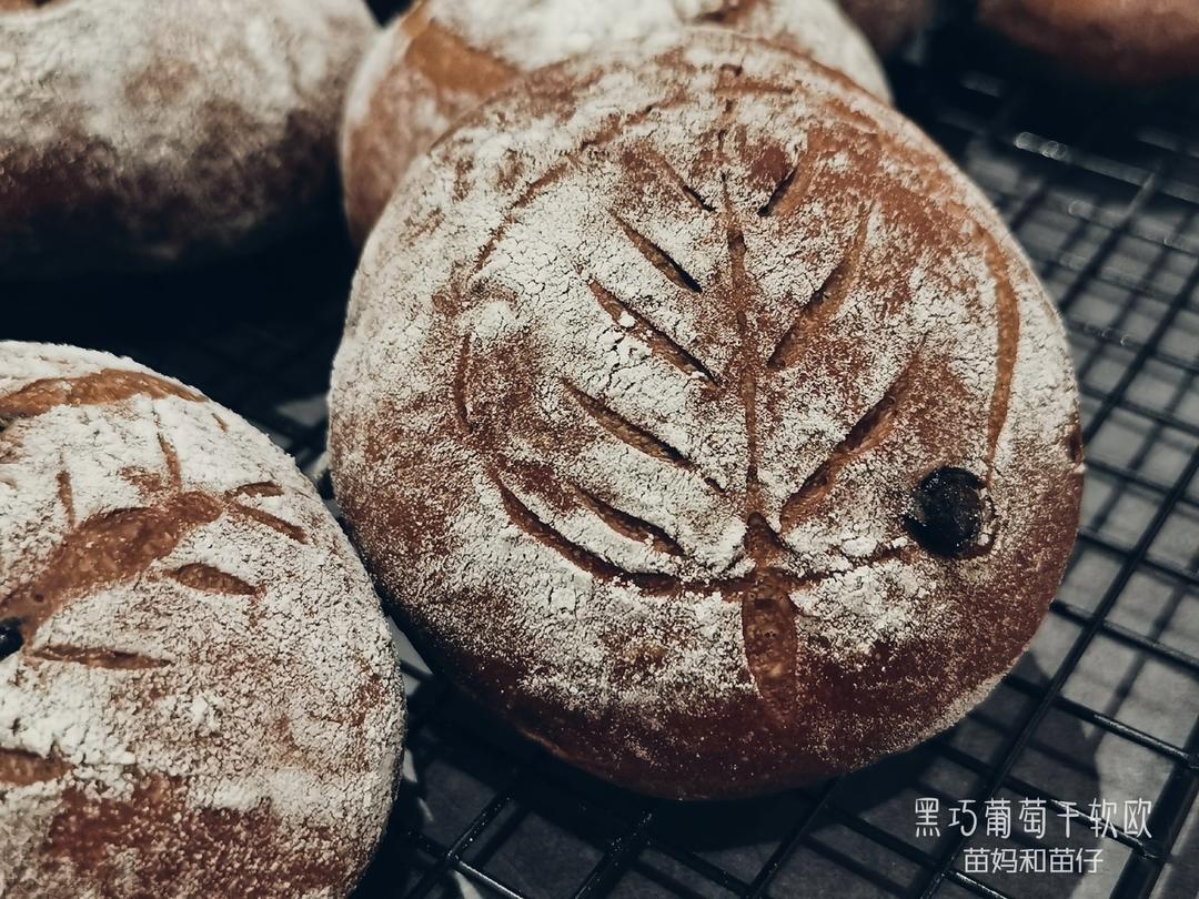 巧克力蔓越莓软欧 Rano Bread