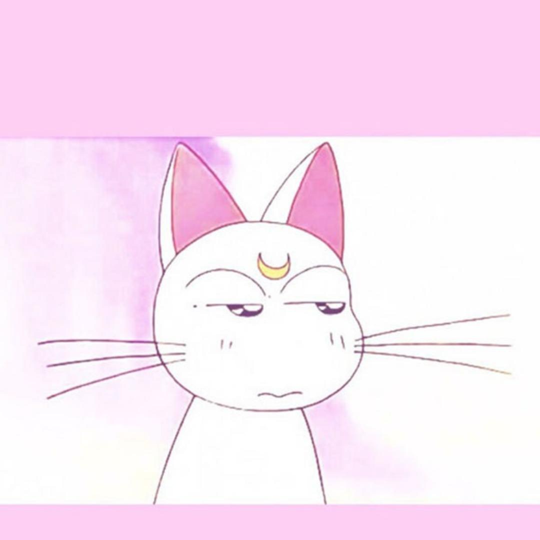 一朵花花兩朵花花