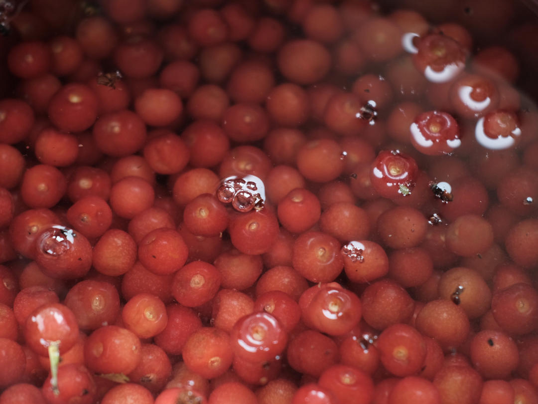 每年樱桃季必做之一樱桃果酱