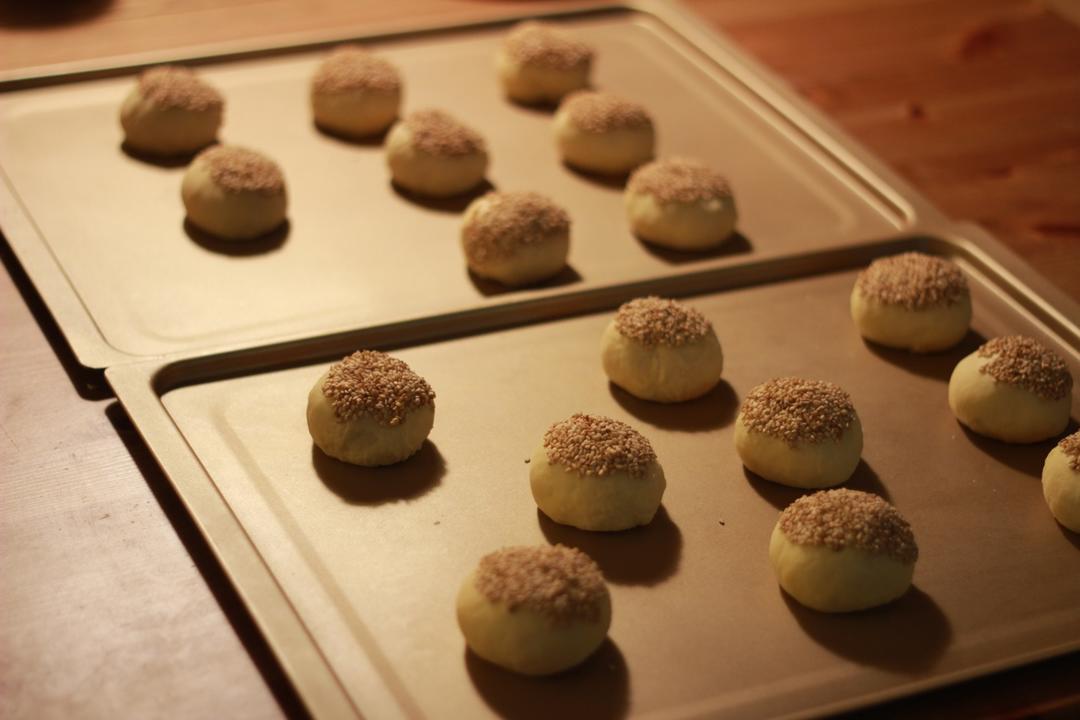 汉堡胚 poolish（波兰种）