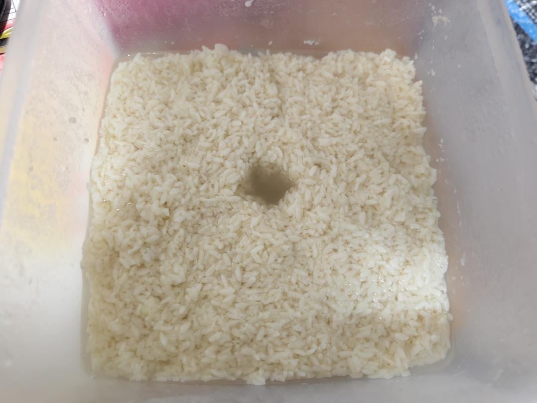 自制甜酒酿（不加糖就让酒酿超甜的秘密）