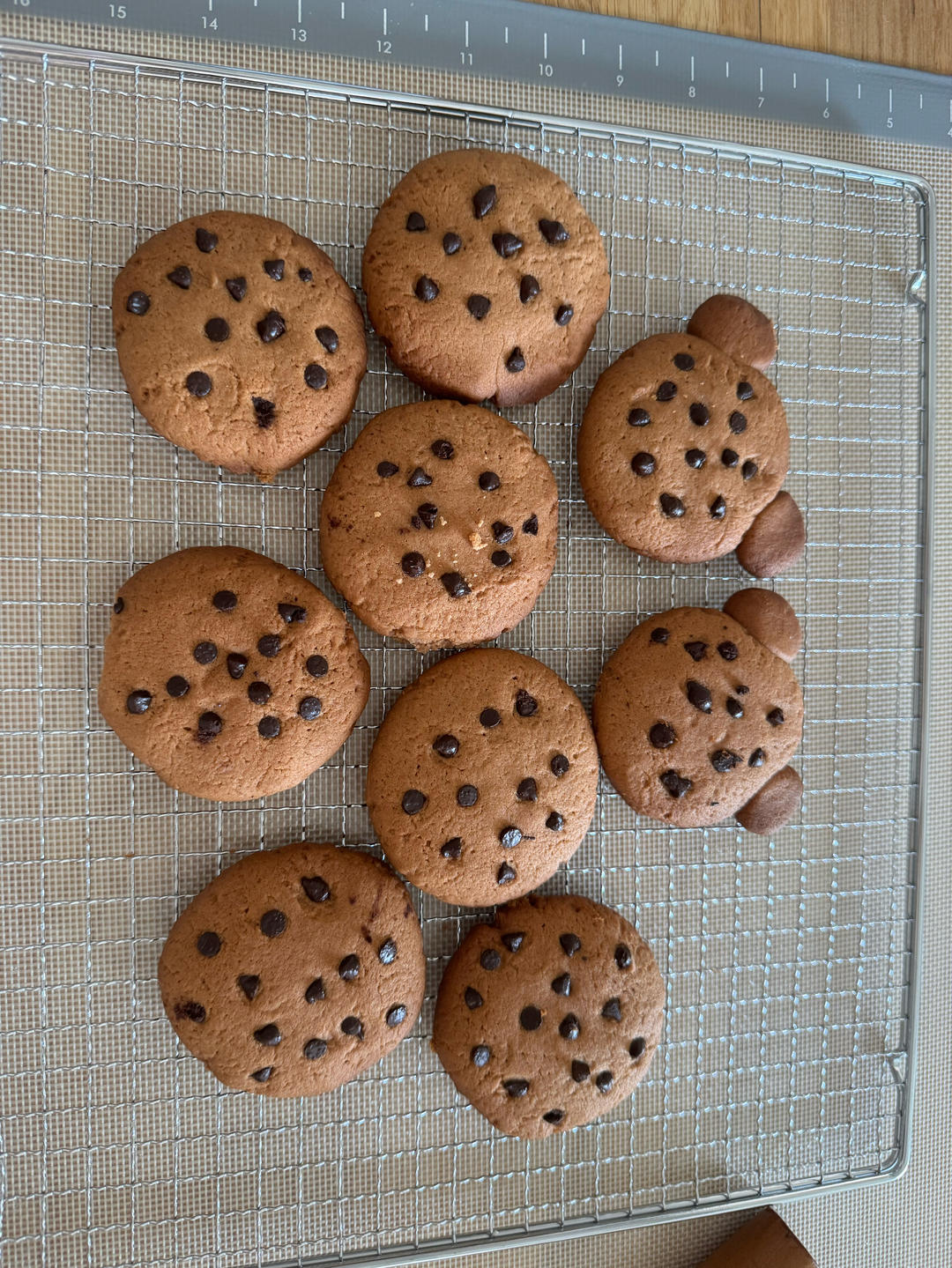 🍪巧克力曲奇｜免打发❗️零失败一次成功❗️
