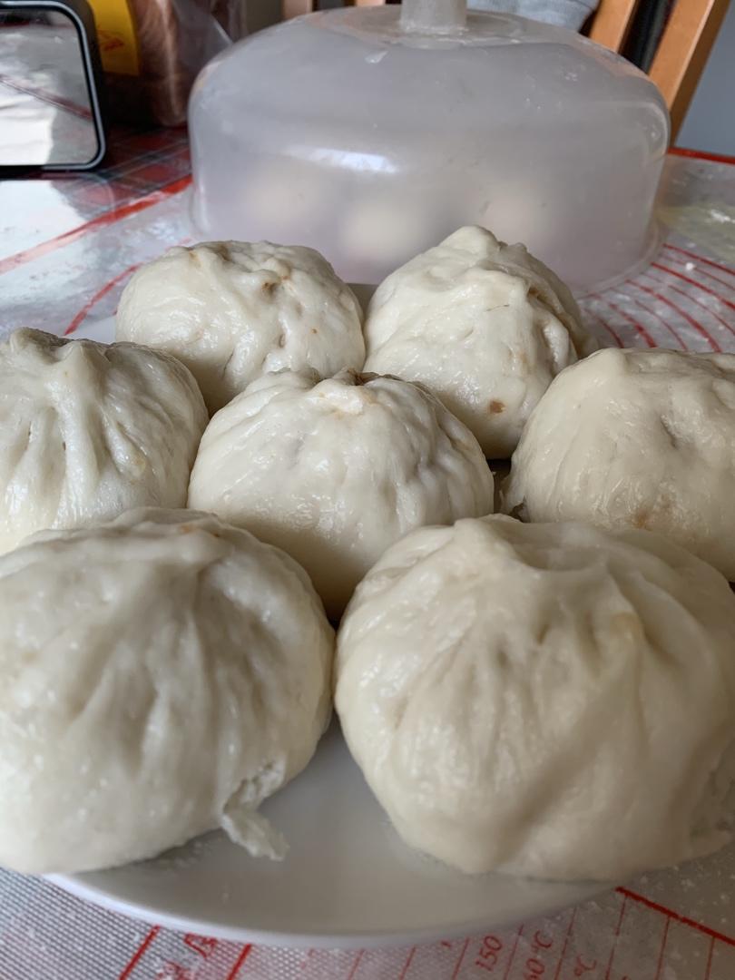新手教程：详细肉包子教程，零失败，满满tips（发面，和馅，擀皮，包法）