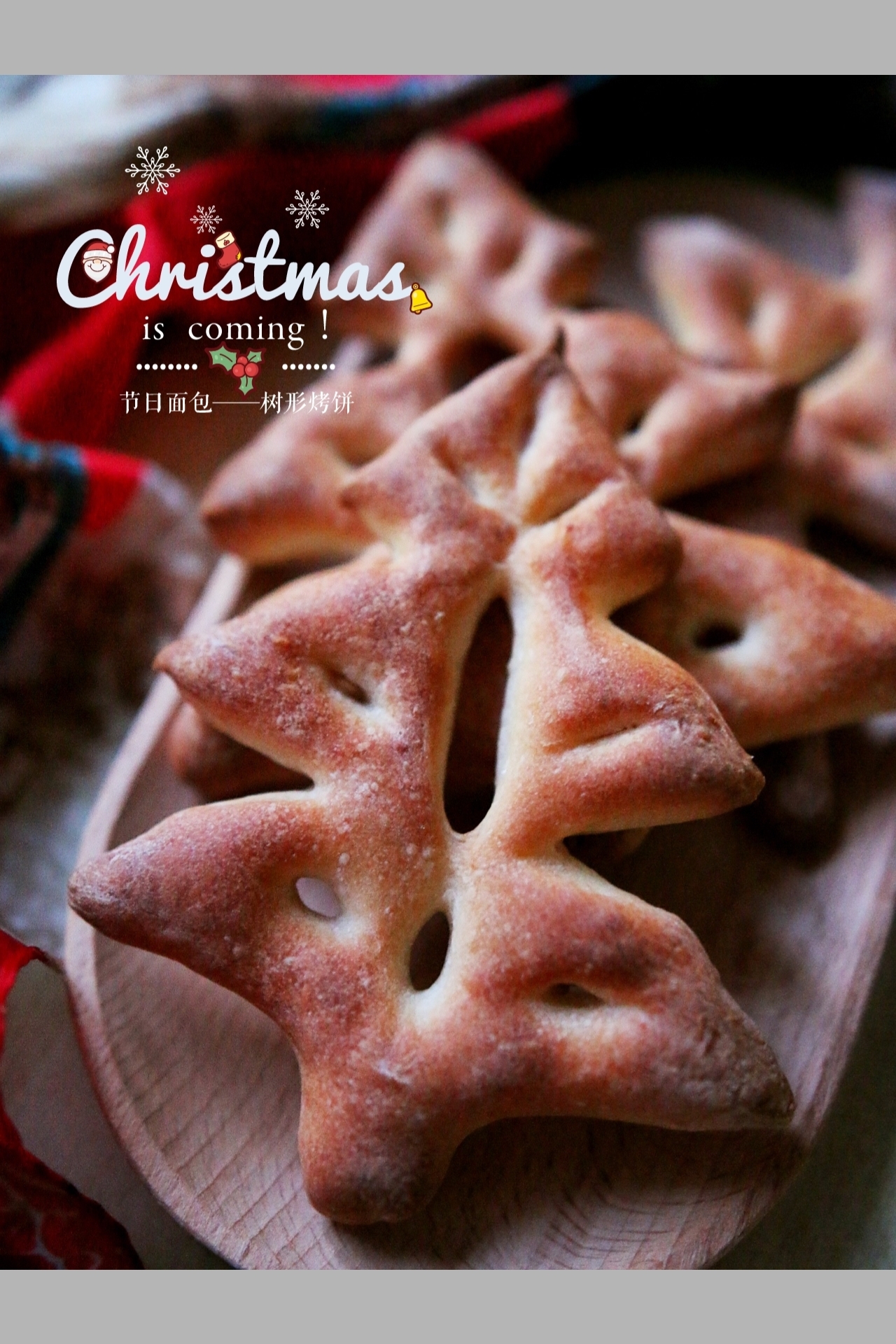 圣诞节日面包🎄帕玛森奶酪树形烤饼