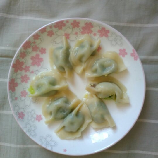 韭菜鸡蛋饺子
