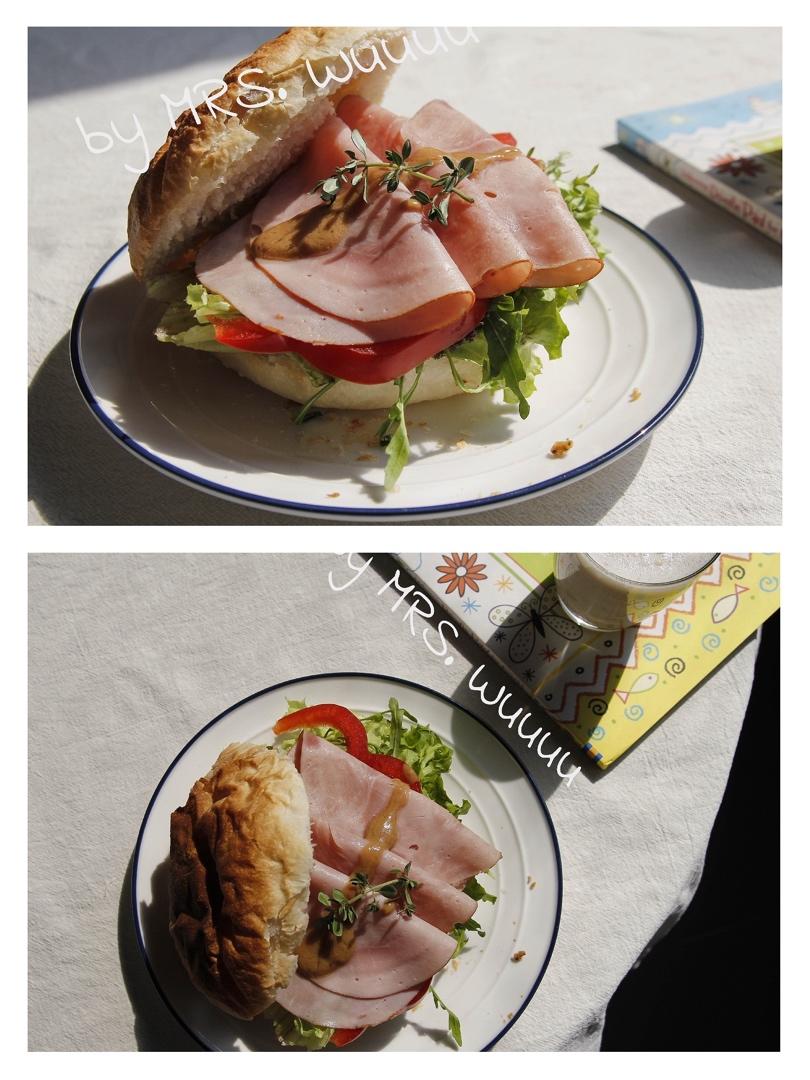 意大利夏巴塔Ciabatta