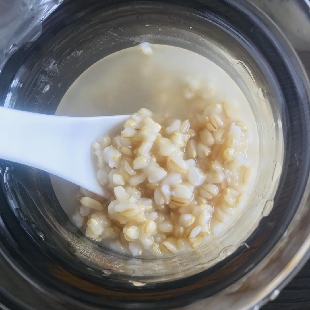 【减脂代餐】万能炖燕麦米｜拌尽一切甜品饮料