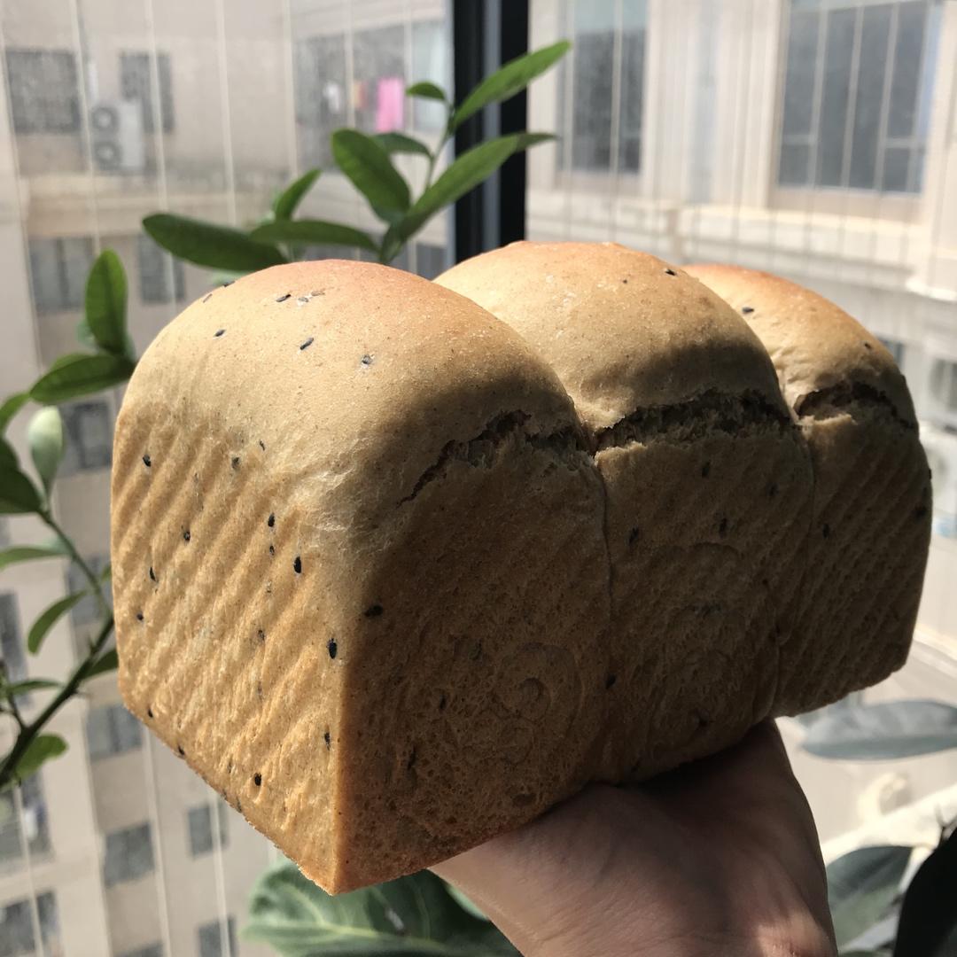 波兰种全麦面包🍞
