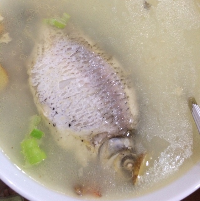 奶白鲫鱼汤