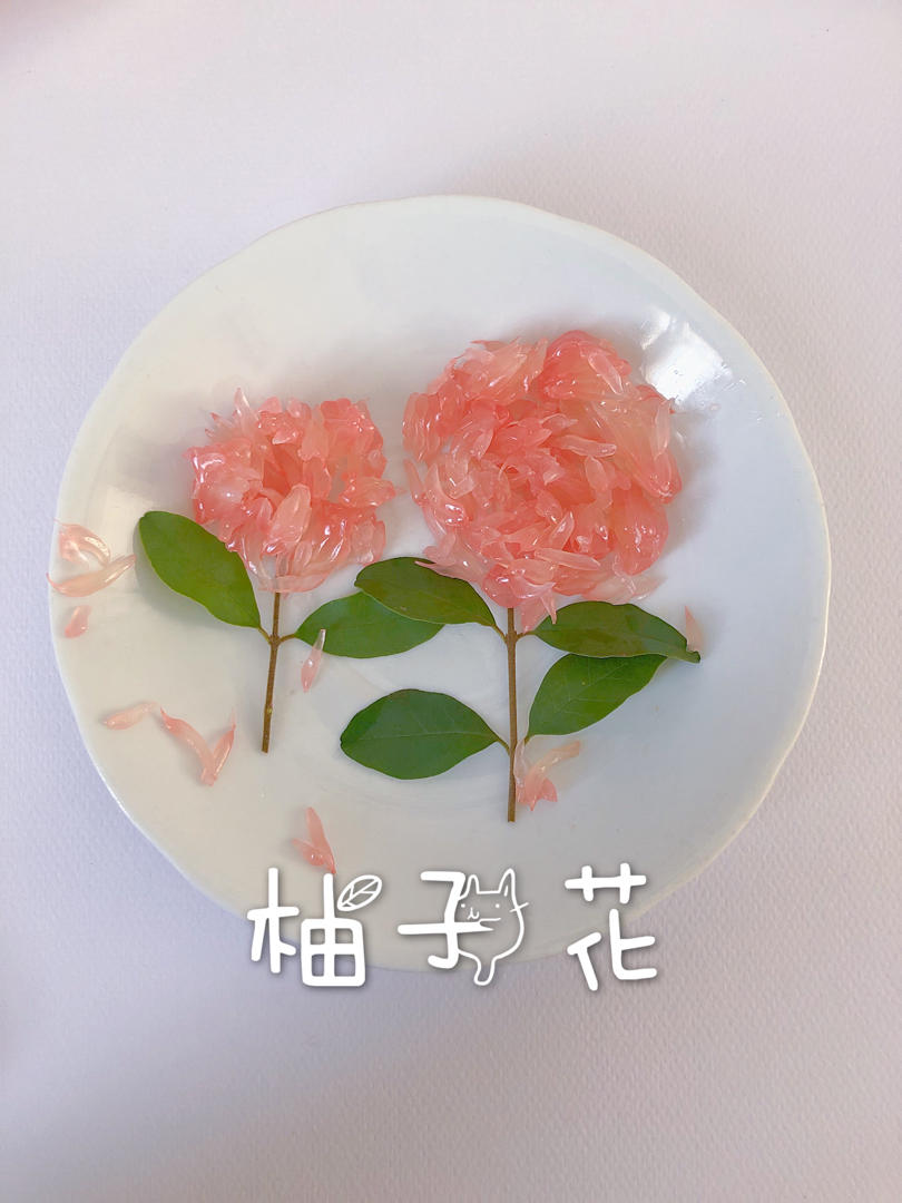 美丽的柚子花