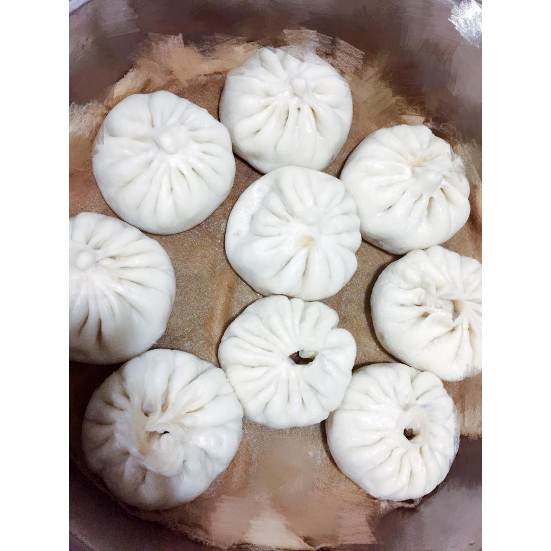 基础肉包做法 Steamed Dumplings