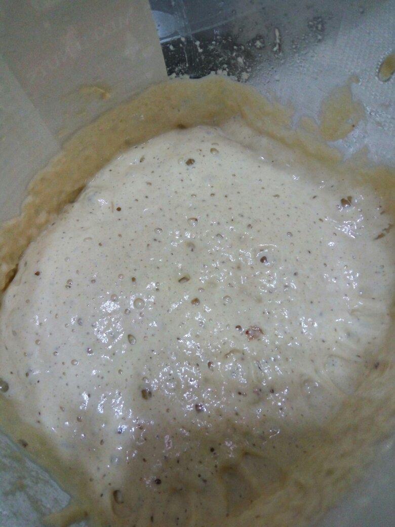 葡萄种酵母培养记录